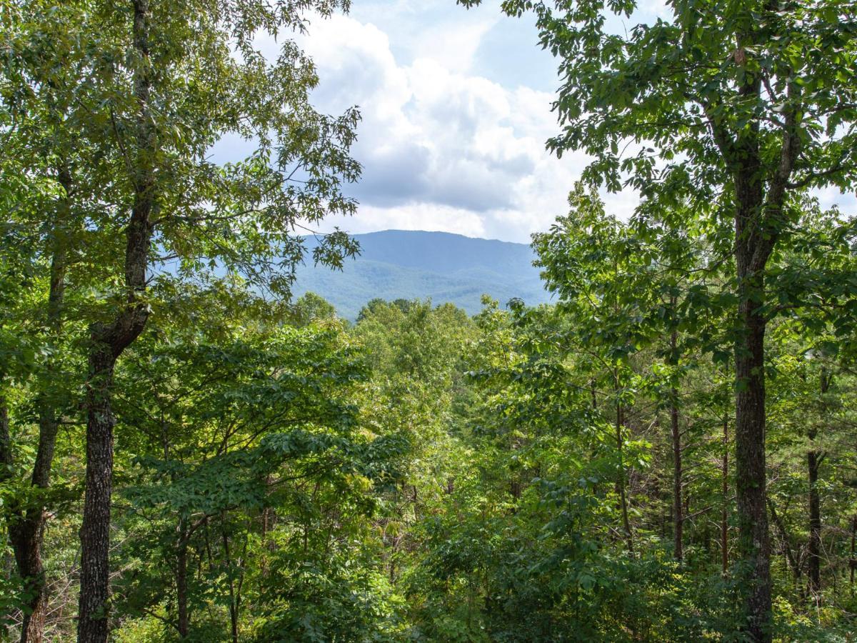 Mountain Charm Villa Gatlinburg Dış mekan fotoğraf